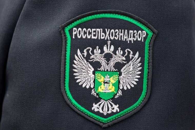 Фигурант коррупционных дел Владимир Чухарев вернулся к управлению Россельхознадзором